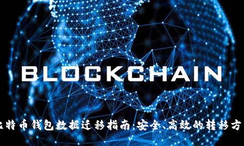 比特币钱包数据迁移指南：安全、高效的转移方式