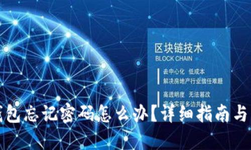 比特币钱包忘记密码怎么办？详细指南与解决方案