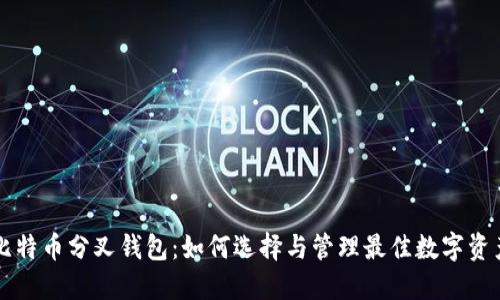 比特币分叉钱包：如何选择与管理最佳数字资产