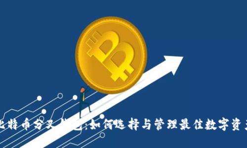 比特币分叉钱包：如何选择与管理最佳数字资产