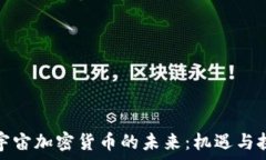   元宇宙加密货币的未来：机遇与挑战