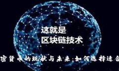 社区加密货币的现状与未来：如何选择适合的项