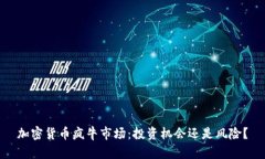 加密货币疯牛市场：投资机会还是风险？