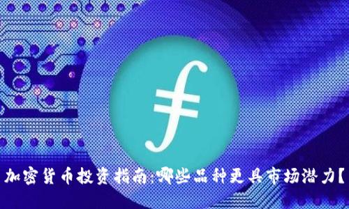 加密货币投资指南：哪些品种更具市场潜力？