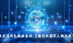 比特币大佬钱包地址查询：了解行业领军人物的
