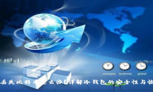 冷钱包丢失比特币怎么办？详解冷钱包的安全性与恢复方法