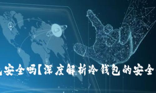 比特币冷钱包安全吗？深度解析冷钱包的安全性与使用指南