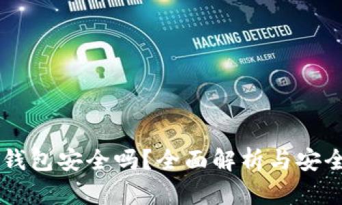 比特币HD钱包安全吗？全面解析与安全防范措施
