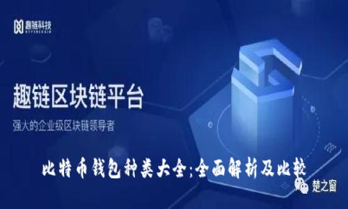 比特币钱包种类大全：全面解析及比较