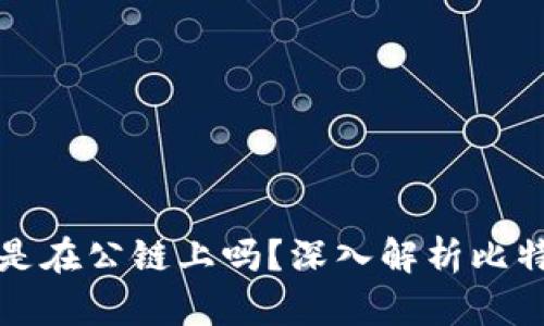 : 比特币钱包是在公链上吗？深入解析比特币钱包的本质