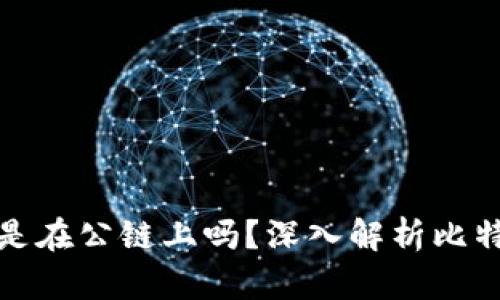 : 比特币钱包是在公链上吗？深入解析比特币钱包的本质