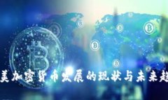 南美加密货币发展的现状与未来趋势