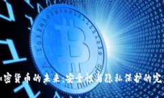 同态加密货币的未来：安全性与隐私保护的完美