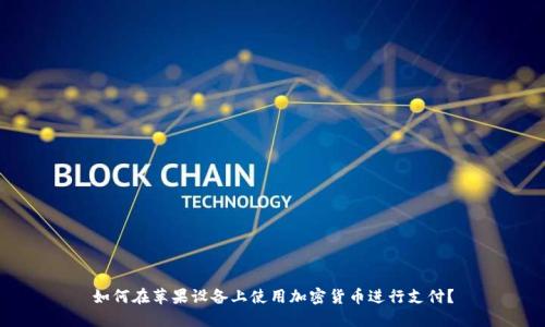如何在苹果设备上使用加密货币进行支付？
