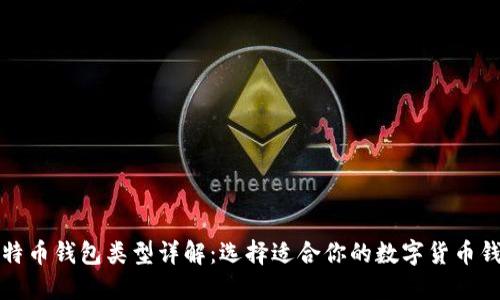 比特币钱包类型详解：选择适合你的数字货币钱包