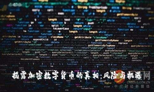 揭露加密数字货币的真相：风险与机遇
