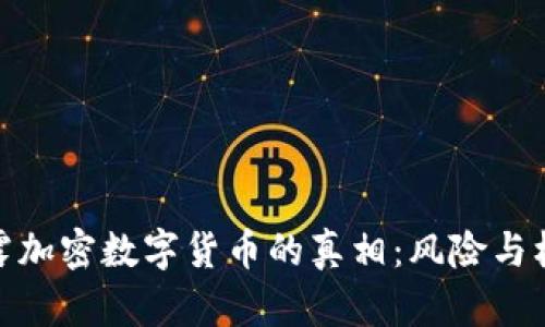 揭露加密数字货币的真相：风险与机遇