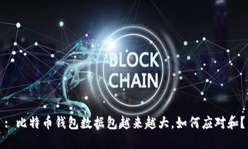 : 比特币钱包数据包越来越大，如何应对和？