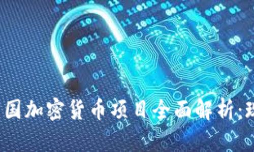 2023年中国加密货币项目全面解析：现状与未来