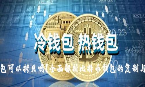比特币钱包可以拷贝吗？全面解析比特币钱包的复制与备份问题