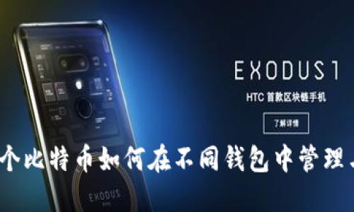 : 同一个比特币如何在不同钱包中管理与使用？