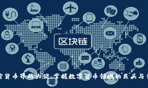 加密货币界的大佬：掌握数字货币领域的巨头与传奇