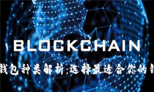 比特币钱包种类解析：选择最适合你的钱包类型