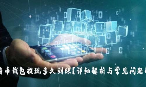 比特币钱包提现多久到账？详细解析与常见问题解答