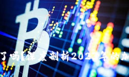 加密货币市场崩盘了吗？深度剖析2023年的加密货币风险与机遇