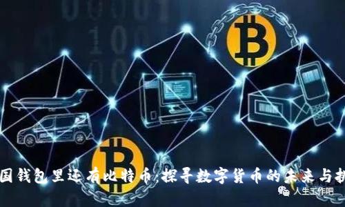 美国钱包里还有比特币：探寻数字货币的未来与挑战