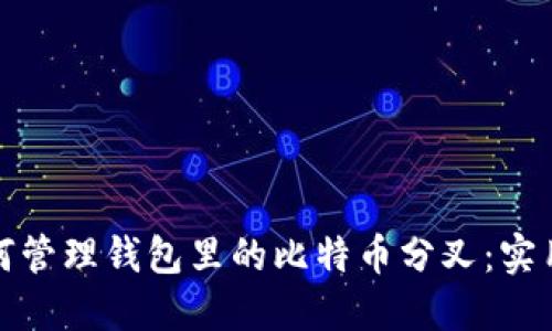 : 如何管理钱包里的比特币分叉：实用指南