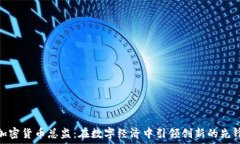   加密货币总监：在数字经济中引领创新的先锋