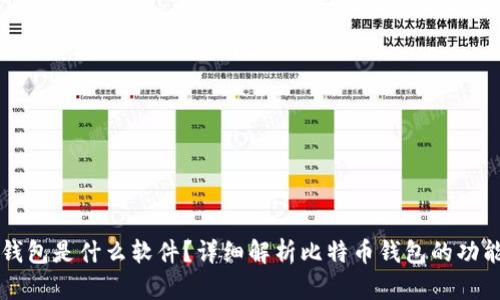 比特币钱包是什么软件？详细解析比特币钱包的功能与类型