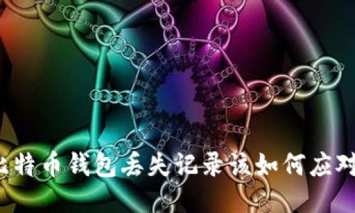 比特币钱包丢失记录该如何应对？