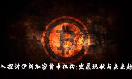 深入探讨伊朗加密货币机构：发展现状与未来趋势