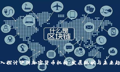深入探讨伊朗加密货币机构：发展现状与未来趋势