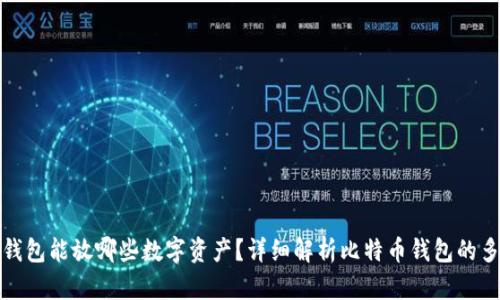 比特币钱包能放哪些数字资产？详细解析比特币钱包的多功能性