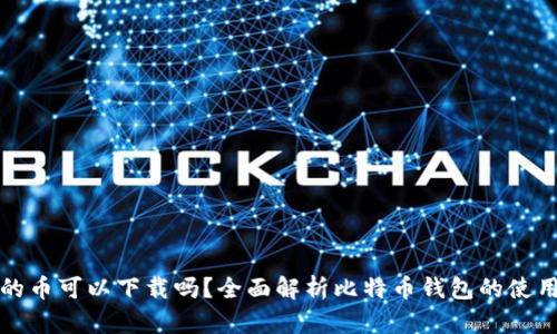 比特币钱包的币可以下载吗？全面解析比特币钱包的使用与下载问题