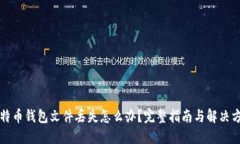 比特币钱包文件丢失怎么办？完整指南与解决方