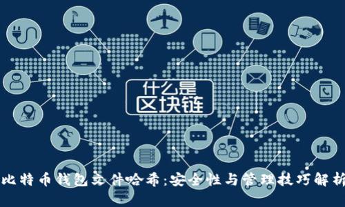 比特币钱包文件哈希：安全性与管理技巧解析