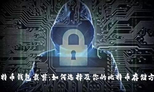 比特币钱包裁剪：如何选择及你的比特币存储方案