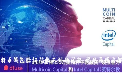 解决比特币钱包验证码收不到的问题：常见原因与解决方案