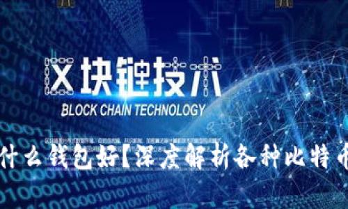 比特币交易用什么钱包好？深度解析各种比特币钱包的优缺点