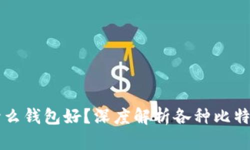 比特币交易用什么钱包好？深度解析各种比特币钱包的优缺点