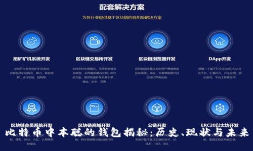 比特币中本聪的钱包揭秘：历史、现状与未来
