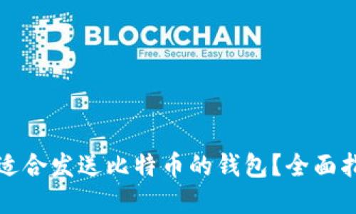 如何选择适合发送比特币的钱包？全面指南与推荐