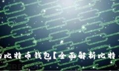 如何选择安全的比特币钱包？全面解析比特币钱