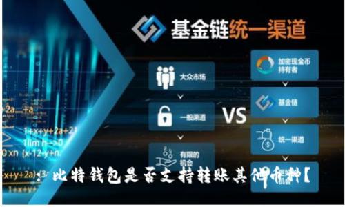 : 比特钱包是否支持转账其他币种？