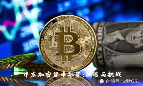 中东加密货币融资：机遇与挑战