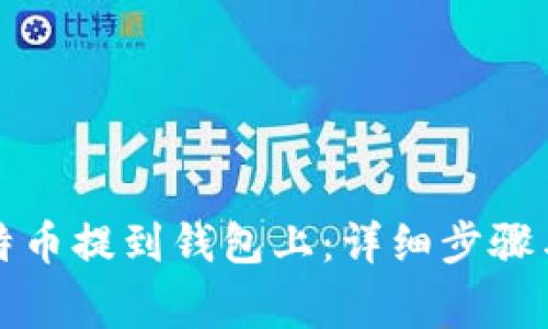 如何把比特币提到钱包上：详细步骤与注意事项